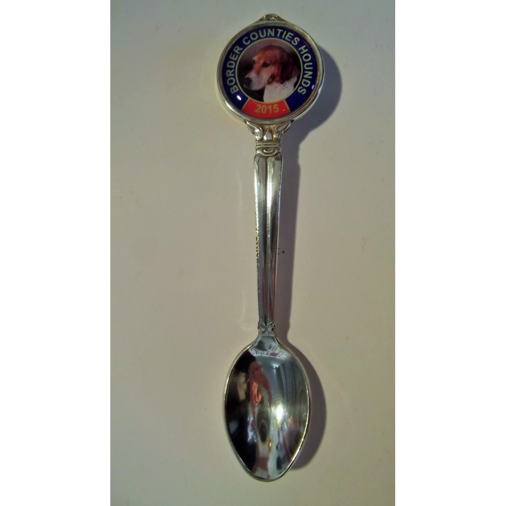 A6 Silver Plated Spoon