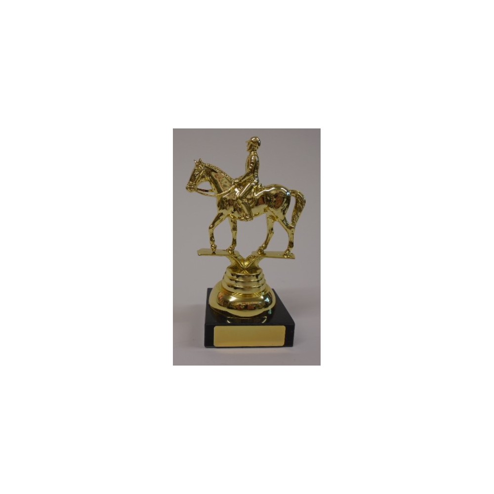 Horse & Rider Med