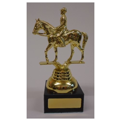 Horse & Rider Lge
