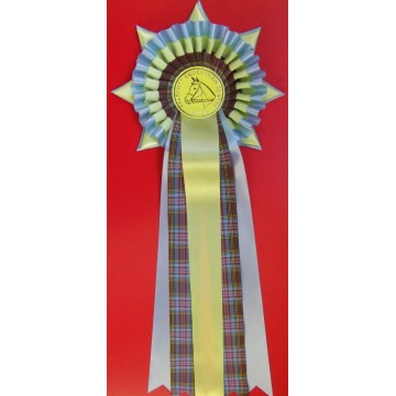 T17T Tartan Rosette